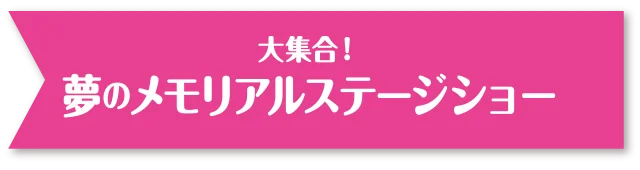 夢のメモリアルステージショー