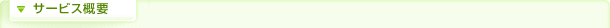 サービス概要
