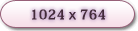 1024 x 764
