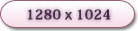 1280 x 1024