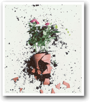 �������Q3rd�V���O���u���݂��v