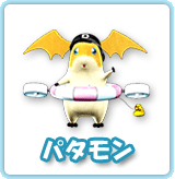 �p�^����