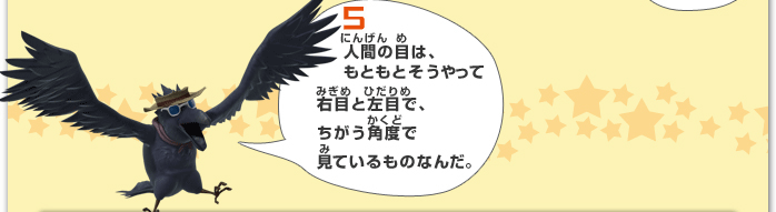 5.lԂ̖ڂ́AƂƂĉEڂƍڂŁApxŌĂ̂Ȃ񂾁B