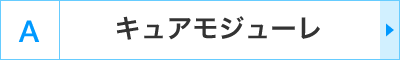 A�F�L���A���W���[��