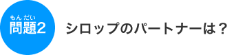 �V���b�v�̃p�[�g�i�[�́H