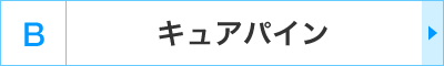 B�F�L���A�p�C��