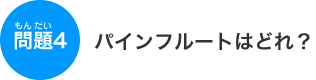 �p�C���t���[�g�͂ǂ�H