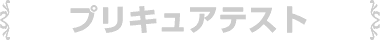 �v���L���A�e�X�g