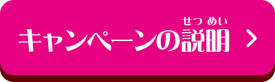 キャンペーンの説明