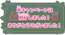 本キャンペーンは終了しました！ありがとうございました！