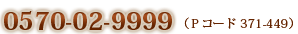 0570-02-9999@ioR[h371-449j