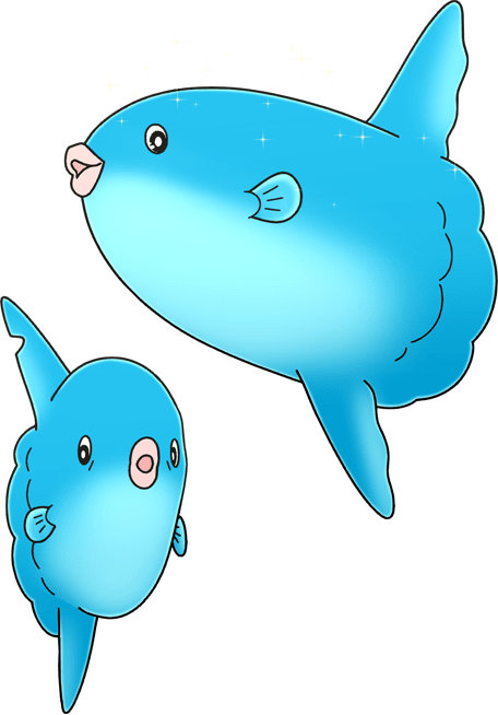 マンボウふうふ