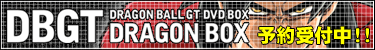 DORAGON BALL GT DVD BOX�\���t���I�I