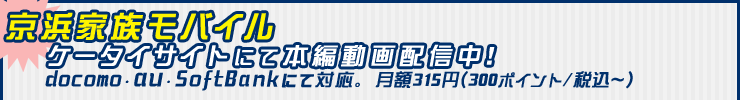 lƑoC@P[^CTCgɂĖ{ғzMIdocomoEauESoftBankɂđΉBz315~(300|Cg/ō`)