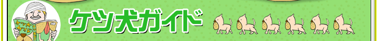 ケツ犬ガイド