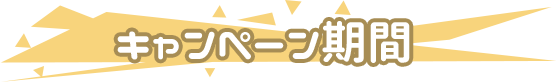キャンペーン期間