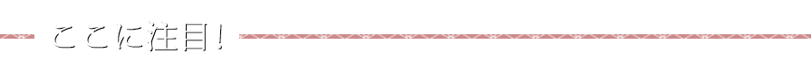 ここに注目！