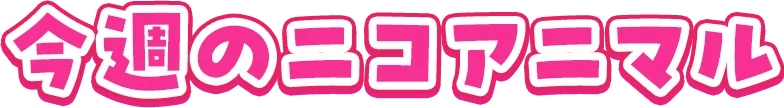 今週のニコアニマル
