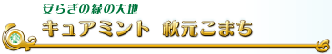 キュアミント　秋元こまち