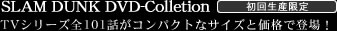 SLAM DUNK DVD-Collection 񐶎Y
