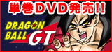 hS{[GTDVD