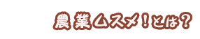 農業ムスメ！とは？