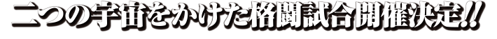 二つの宇宙をかけた格闘試合開催決定!1