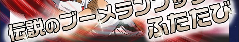 `̃u[tbNӂ
